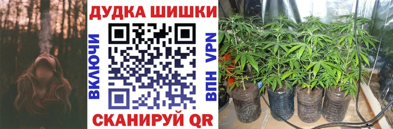 Бошки марихуана LSD WEED  Купить закладки  Валдай 